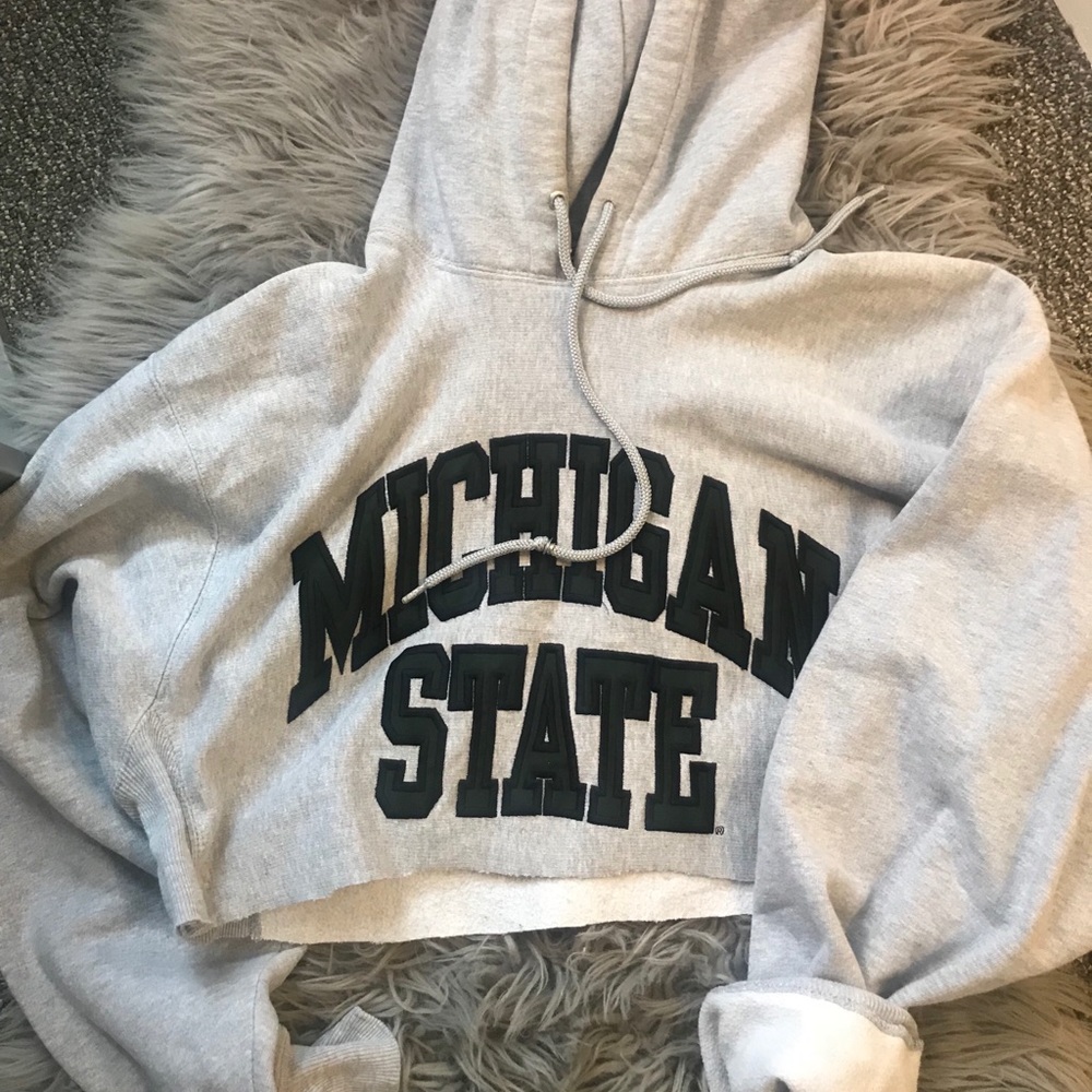 Michigan State University Cropped Hoodie